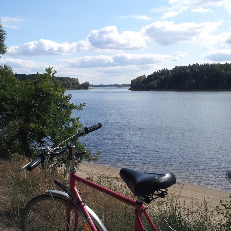 Fahrradverleih Mit Fahrrad um den Obersee
