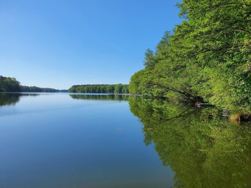 Blick auf den Untersee