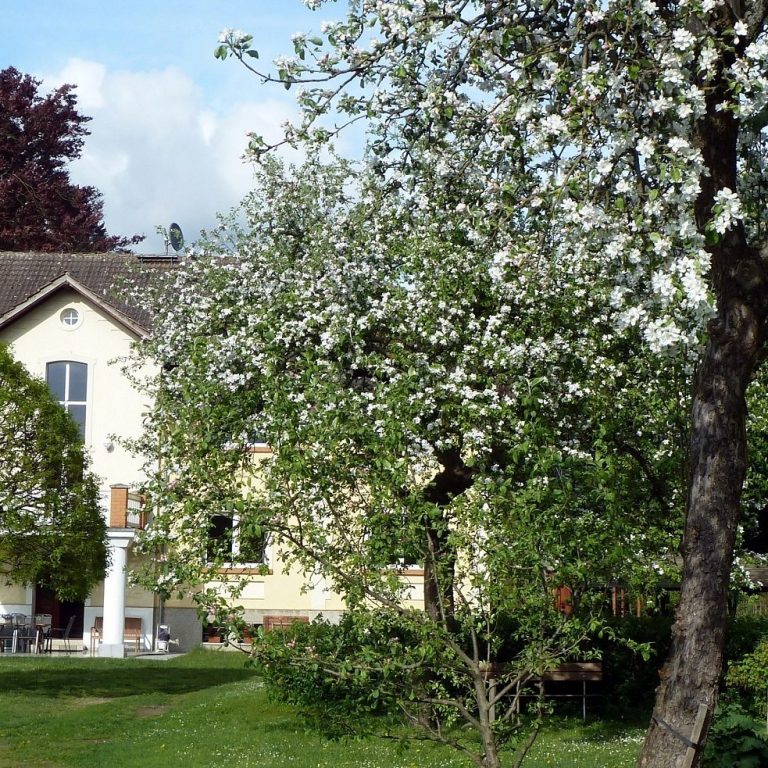 Entspannung im Garten Apfelbaum im Garten mit Gutshaus im Hintergrund